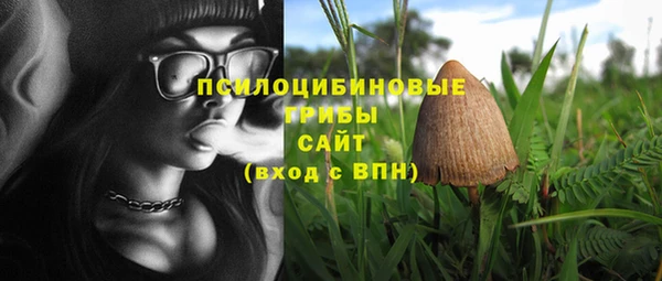 хмурый Волоколамск