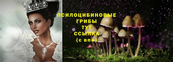 хмурый Волосово