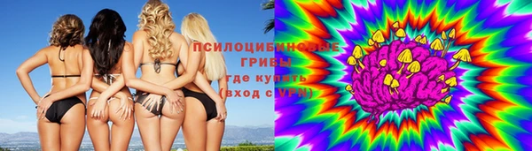 хмурый Волосово