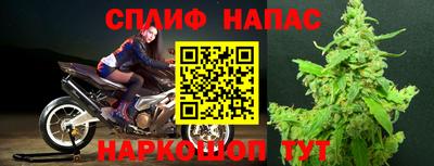 индика Жуковский