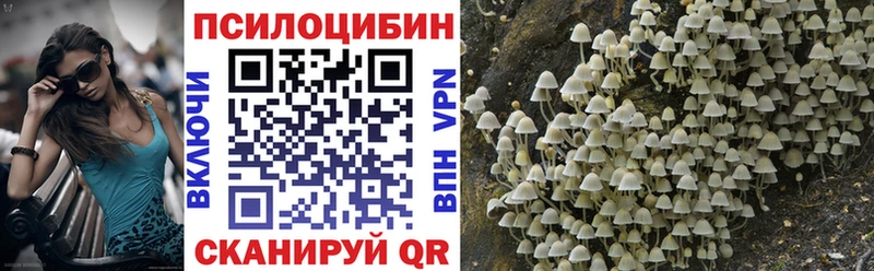 Псилоцибиновые грибы Psilocybine cubensis  где купить наркотик  Люберцы 