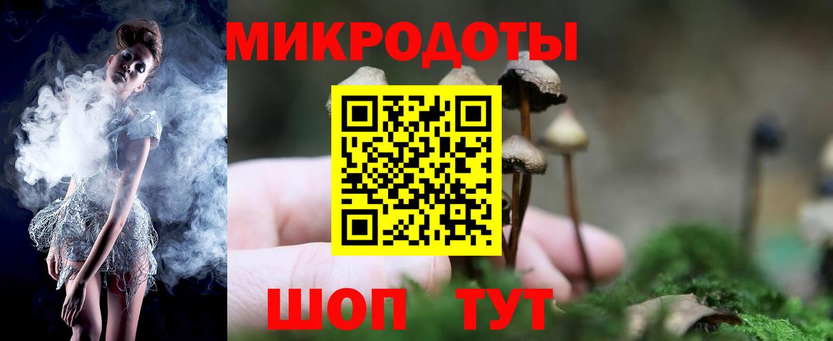 Галлюциногенные грибы Psilocybine cubensis Люберцы
